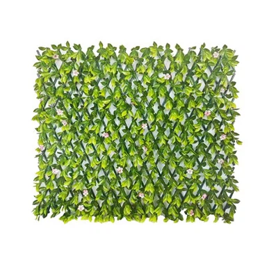 Plannu Trellis Awyr Agored