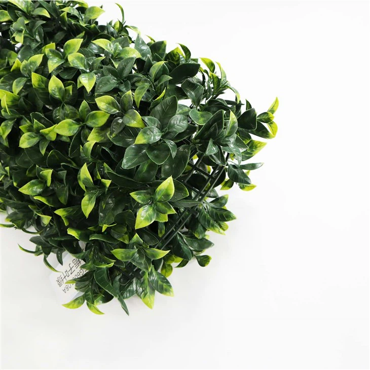 Indoor Plant Wall