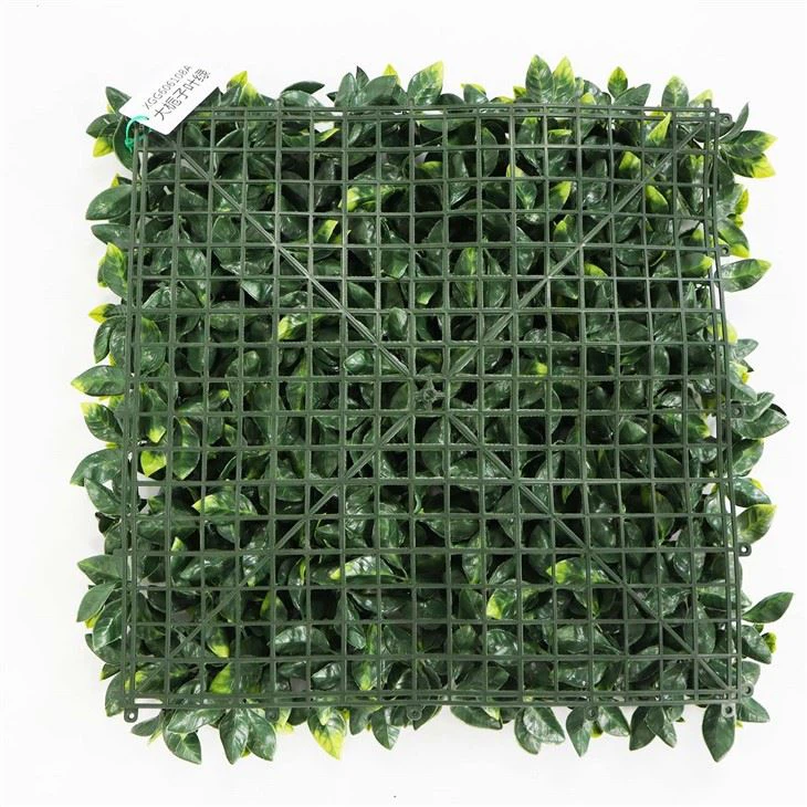Indoor Plant Wall