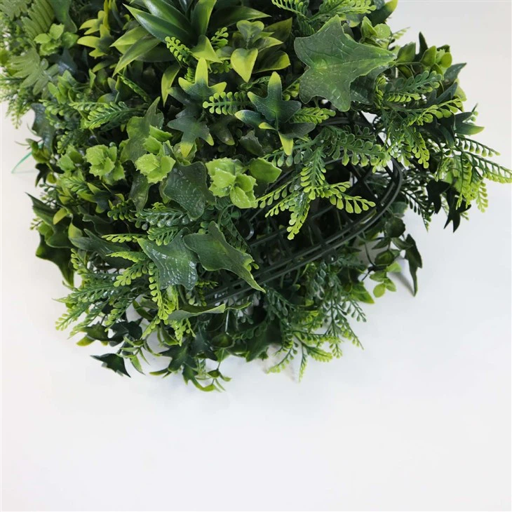 Green Plant Wall Indoor