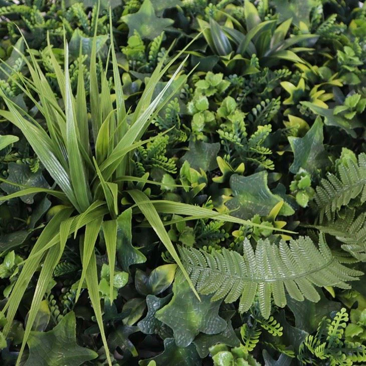 Green Plant Wall Indoor