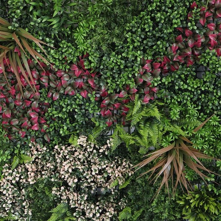 Hanging Planters Indoor Wall