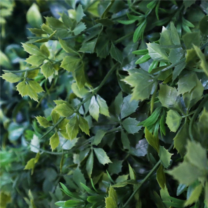 Hanging Plants Indoor Wall