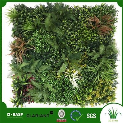 Wal Glaswellt Gwyrdd