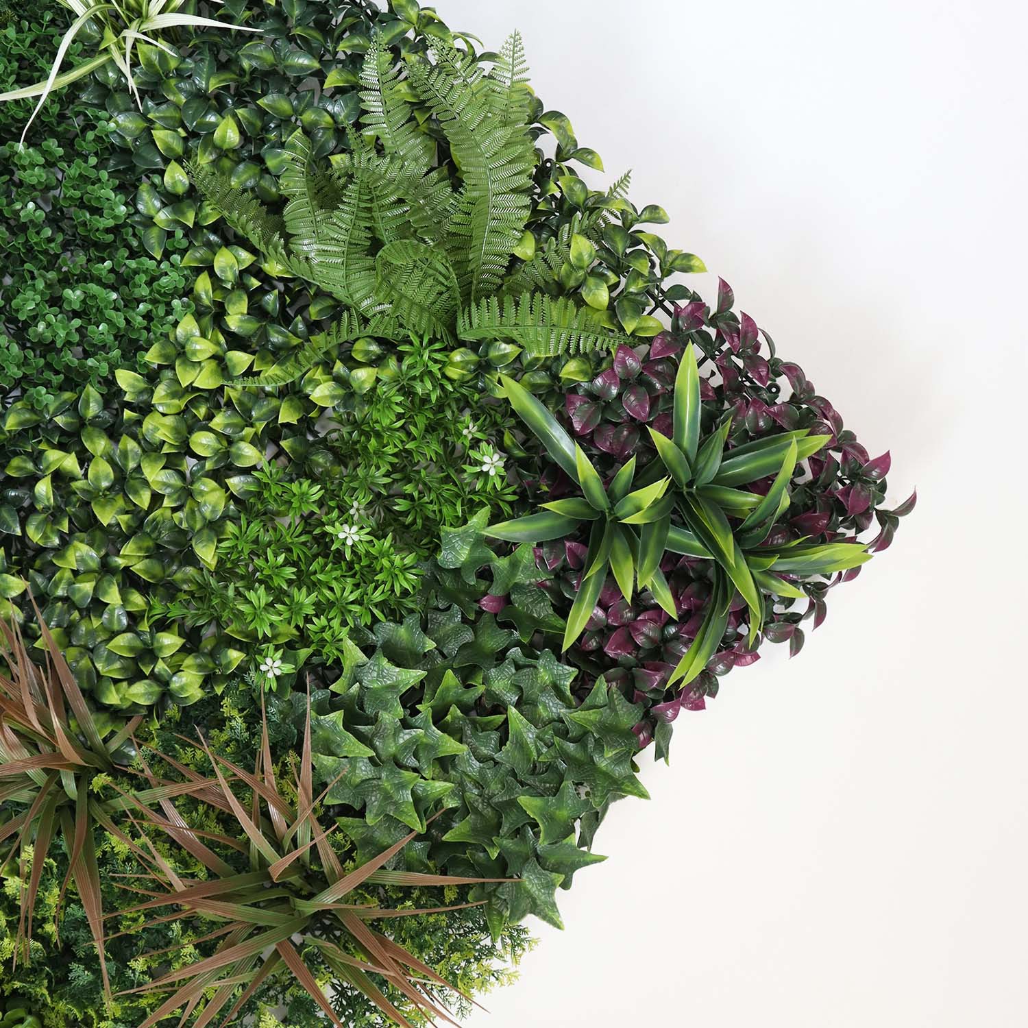 house plant wall house plant wall