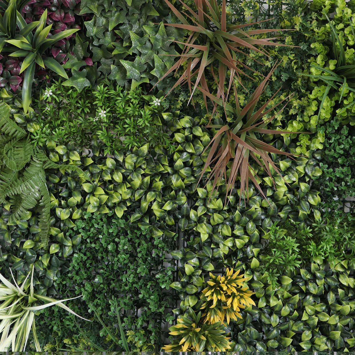 diy green wall indoor diy green wall indoor