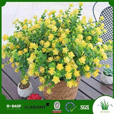 Planhigion Ffug Ger Fi