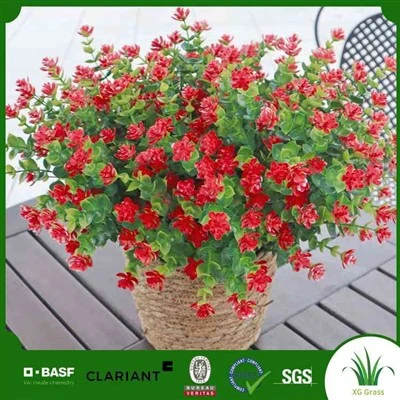 Planhigion Poinsettia ffug