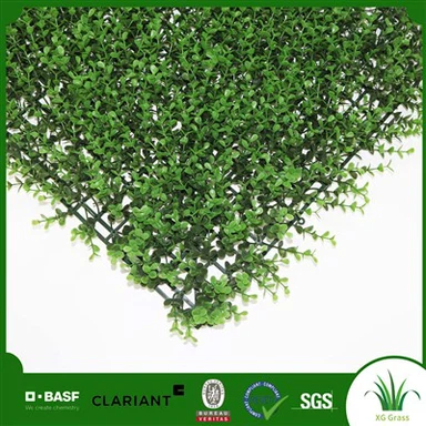 Gardd Berlysiau Grog Wal Dan Do