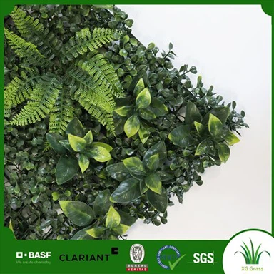 Wal Werdd Fyw Dan Do