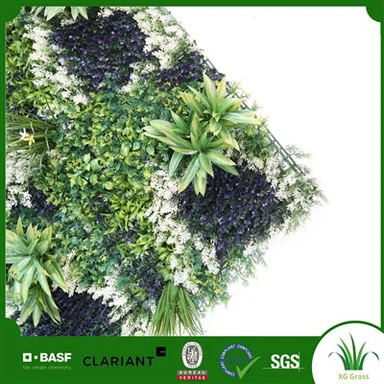 Ystafell Fyw Wal Planhigion