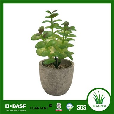 Plannwyr suddlon Unigryw Xingu I Ddisgleirio Eich Addurn Cartref