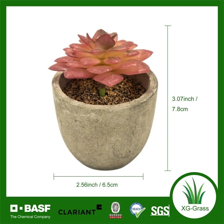 Xingu Lifelike Succulent Home Decor For Stylish Indoor Spaces best